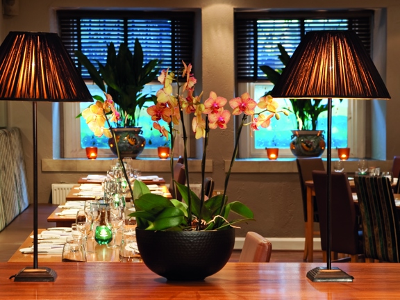 An internal view of Gamba shows a warmly lit restaurant scene with wooden tables decorated with glasses, silverware and tealights in small glass holders. In the foreground on a polished wooden surface, two table lamps are positioned either side of a pink, flowering orchid plant in a charcoal grey bowl. The far wall has 2 windows in it with dark venetian blinds, leafy potted plants and tealights decorating them. The space and furnishings are decorated in neutral tones.