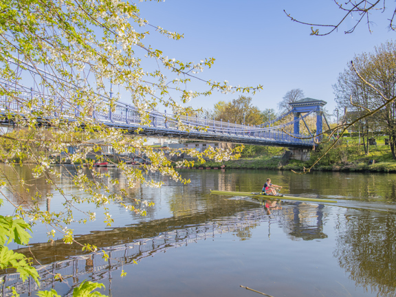 Sunny view of a rower on a single scull on the tree-lined River Clyde with the blue St Andrew's suspension footbridge in the background