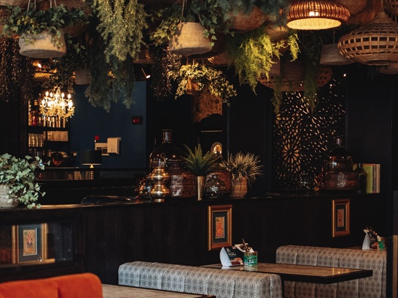 Restaurant with plants and wicker lights hanging from the ceiling. Bright and colourful fabric benches and wooden tables. 