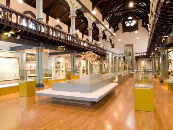 The Hunterian museum at University of Glasgow with displays in glass cabinets 