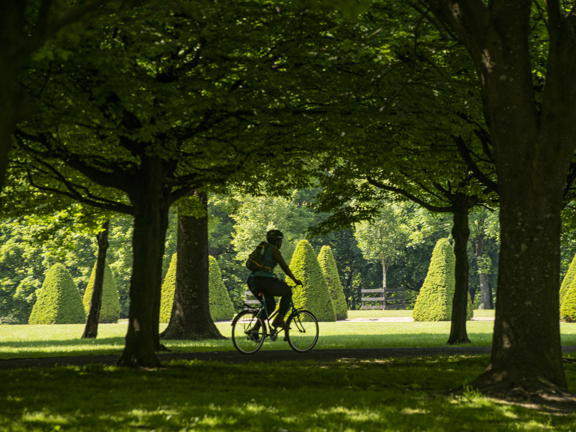 Lone cyclist under the trees in the greenery of Glasgow Green